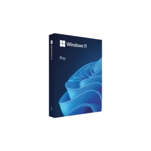 Buy Microsoft Windows 11 Pro